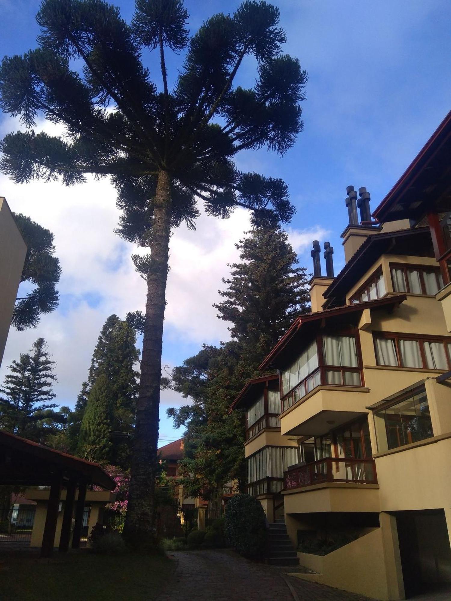 Estacao Das Hortensias, Seu Aconchego Em Gramado Lägenhet Exteriör bild