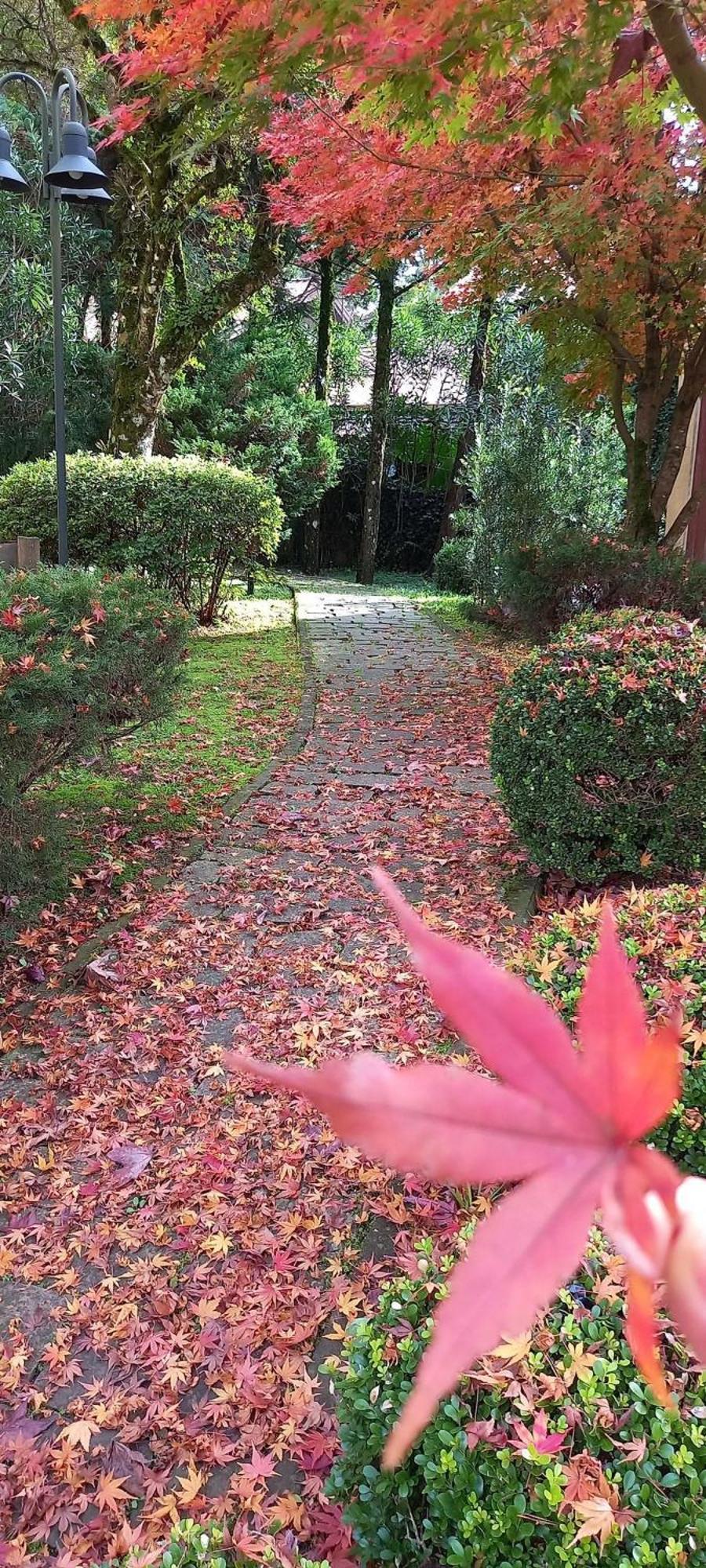 Estacao Das Hortensias, Seu Aconchego Em Gramado Lägenhet Exteriör bild