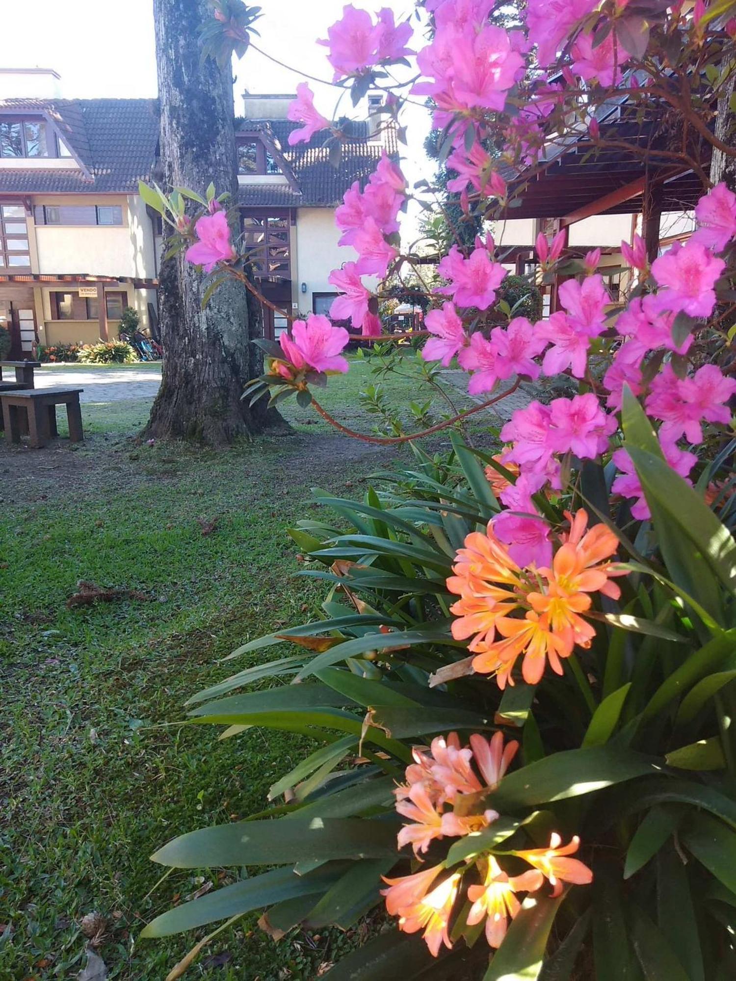 Estacao Das Hortensias, Seu Aconchego Em Gramado Lägenhet Exteriör bild